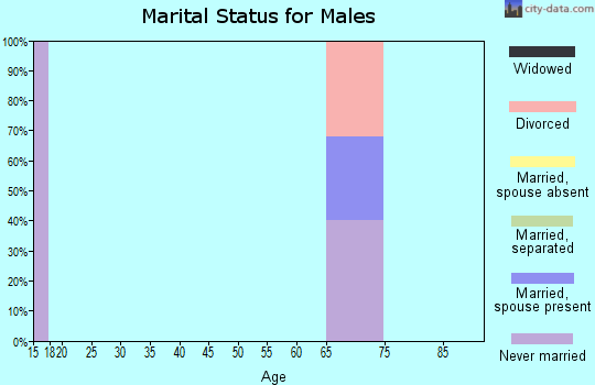 Zip code 31045 marital status for males