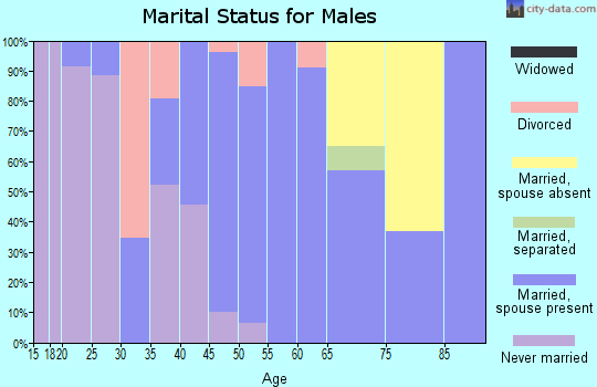 Zip code 31049 marital status for males