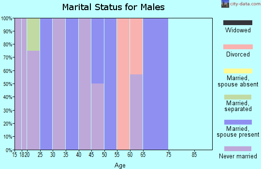 Zip code 31051 marital status for males