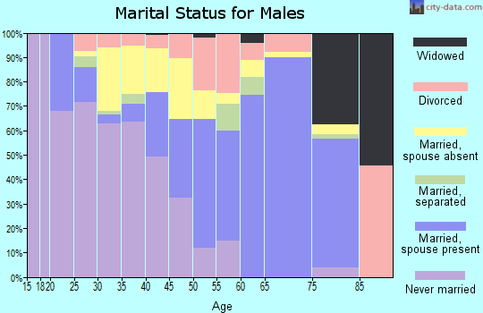 Zip code 31055 marital status for males