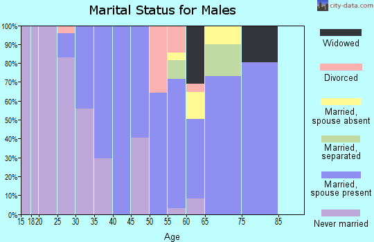 Zip code 31057 marital status for males