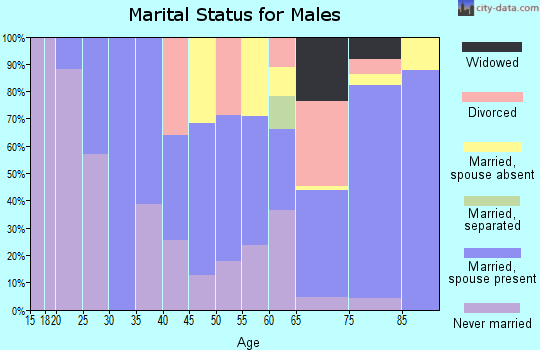 Zip code 31063 marital status for males