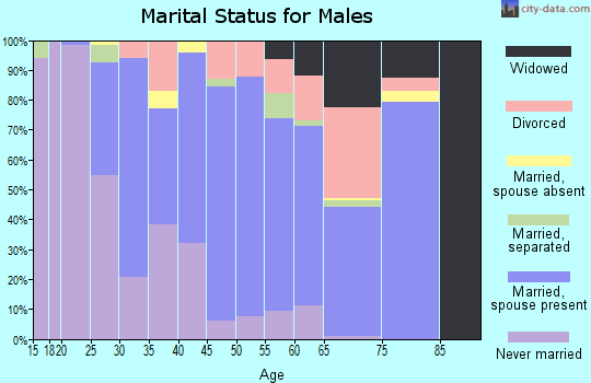 Zip code 31064 marital status for males