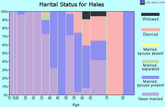 Zip code 31065 marital status for males