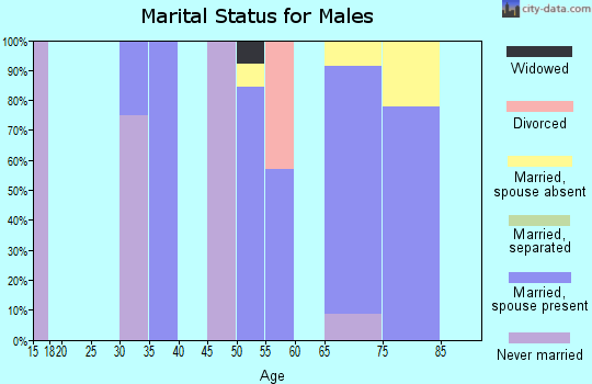Zip code 31067 marital status for males