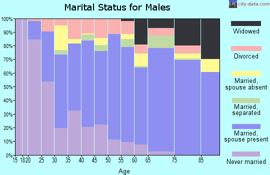 Zip code 31069 marital status for males