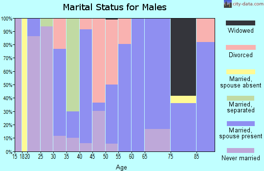 Zip code 31070 marital status for males