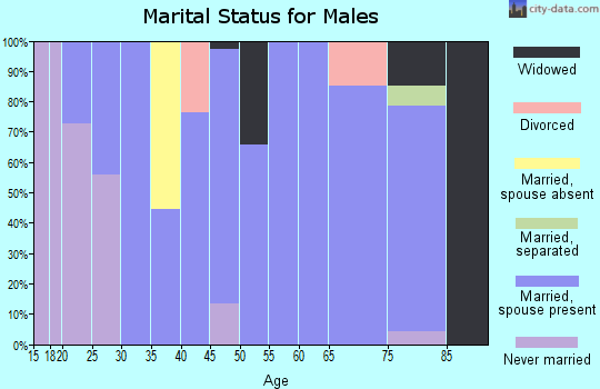 Zip code 31072 marital status for males