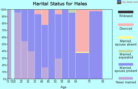 Zip code 31075 marital status for males