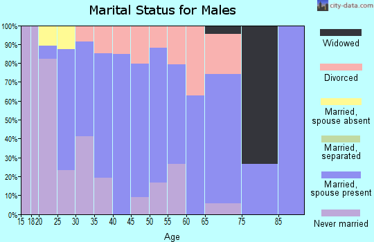 Zip code 31076 marital status for males