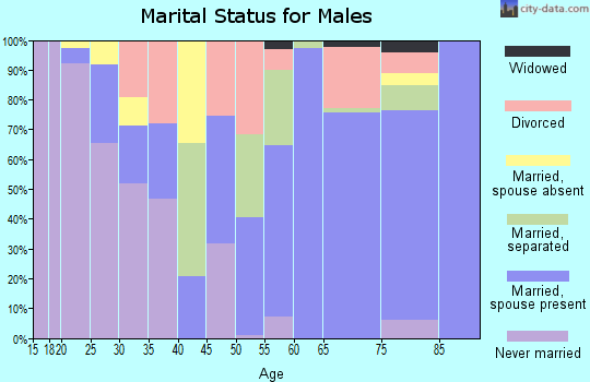 Zip code 31078 marital status for males