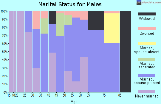 Zip code 31079 marital status for males
