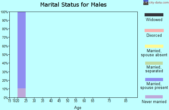 Zip code 31081 marital status for males