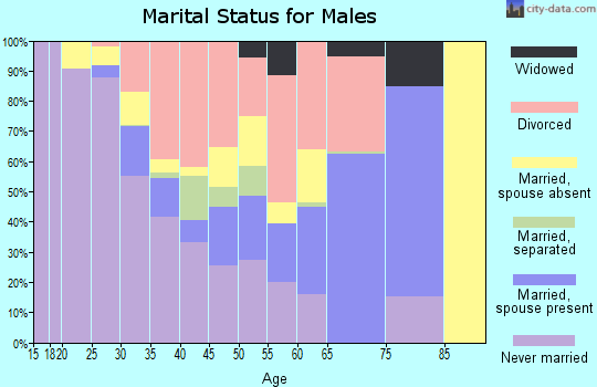Zip code 31091 marital status for males