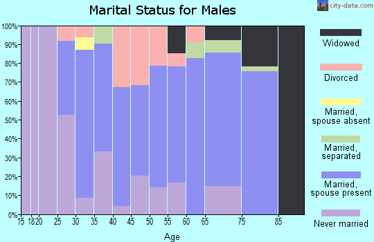 Zip code 31092 marital status for males
