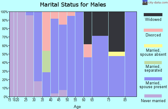 Zip code 31097 marital status for males