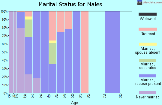 Zip code 31098 marital status for males