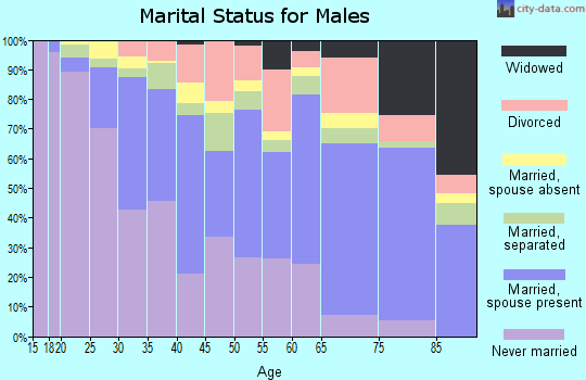 Zip code 31204 marital status for males