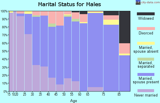 Zip code 31210 marital status for males