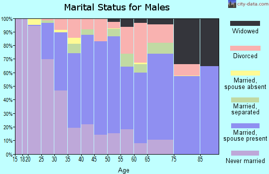 Zip code 31211 marital status for males