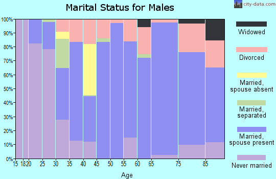 Zip code 31220 marital status for males