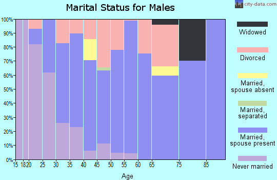 Zip code 31302 marital status for males