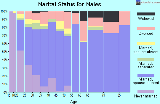 Zip code 31313 marital status for males
