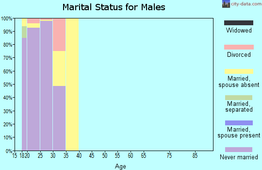 Zip code 31314 marital status for males
