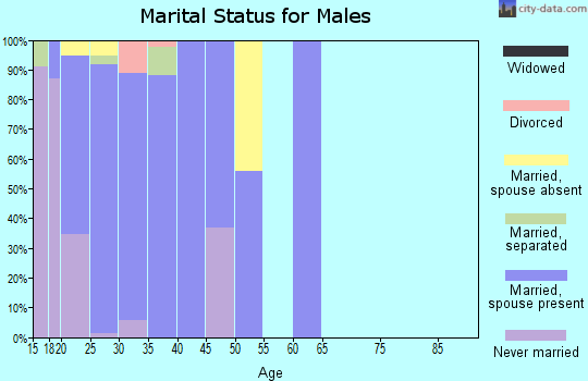 Zip code 31315 marital status for males
