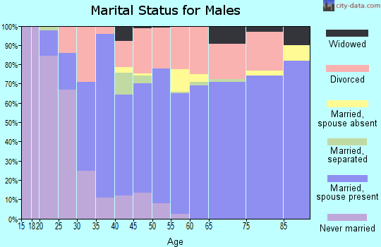 Zip code 31320 marital status for males