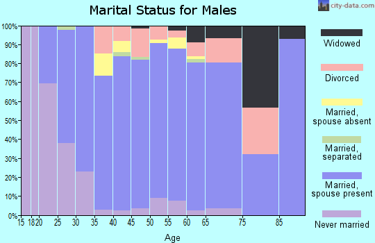 Zip code 31324 marital status for males