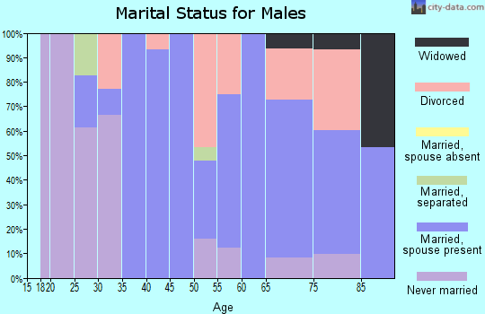Zip code 31328 marital status for males