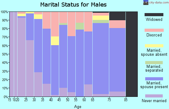 Zip code 31329 marital status for males