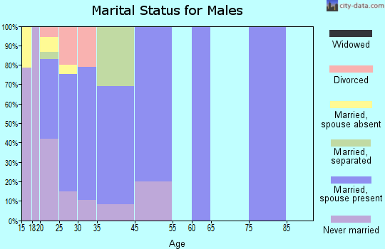 Zip code 31333 marital status for males