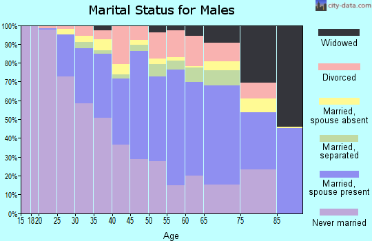 Zip code 31404 marital status for males