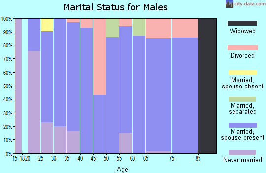 Zip code 31407 marital status for males