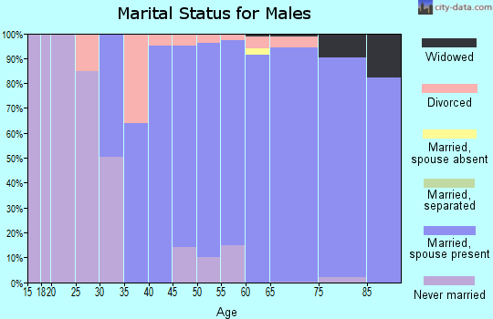 Zip code 31411 marital status for males