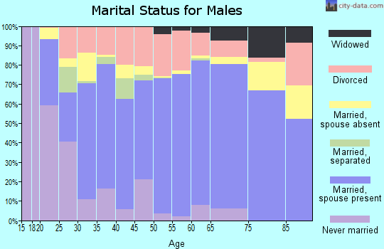 Zip code 31503 marital status for males