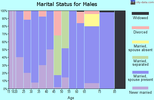 Zip code 31512 marital status for males