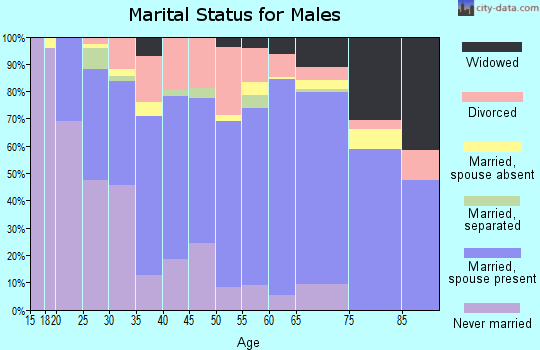 Zip code 31513 marital status for males