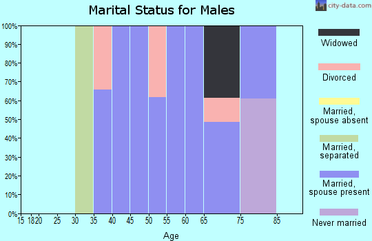 Zip code 31518 marital status for males