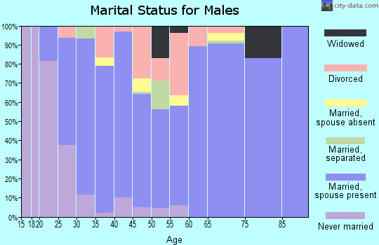 Zip code 31523 marital status for males