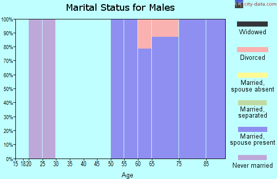 Zip code 31527 marital status for males