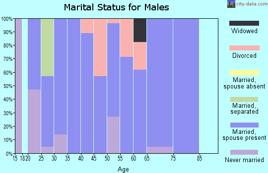 Zip code 31532 marital status for males