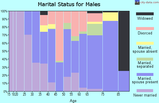 Zip code 31533 marital status for males