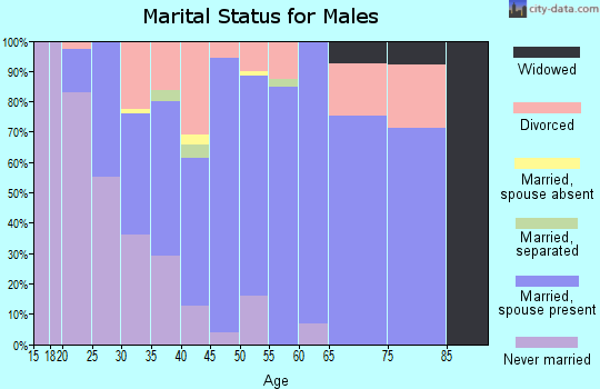 Zip code 31535 marital status for males