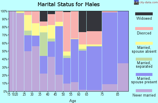 Zip code 31537 marital status for males