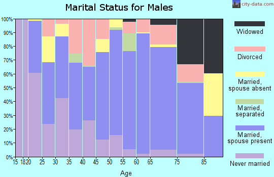 Zip code 31539 marital status for males