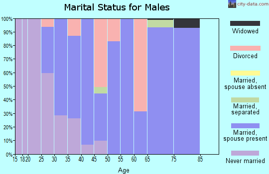 Zip code 31542 marital status for males