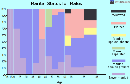 Zip code 31549 marital status for males